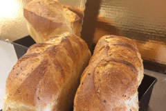 Seven grain whole wheat