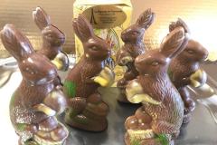 Bunny-1