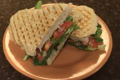 panini